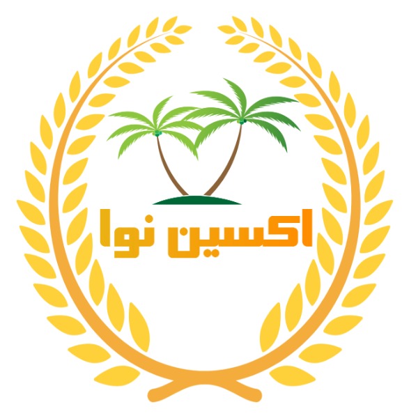 اکسین شاپ